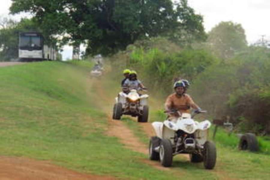 Hazyview: Guided Macadamia Plantation and Forest Quad Safari - Extreme Adventure Camp start, with a real guided focus