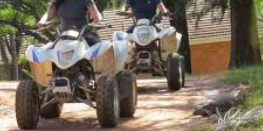 Hazyview: Guided Macadamia Plantation and Forest Quad Safari - What the 1 hour includes, and how to plan your day