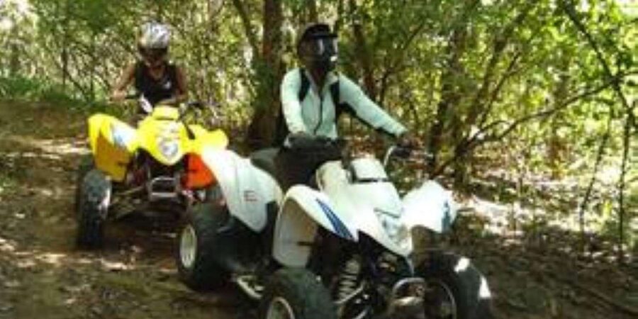 Hazyview: Guided Macadamia Plantation and Forest Quad Safari - Who should book this quad ride, and who might skip it