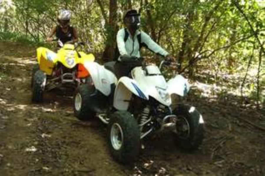 Hazyview: Guided Macadamia Plantation and Forest Quad Safari - Training and a safety briefing that actually changes your ride