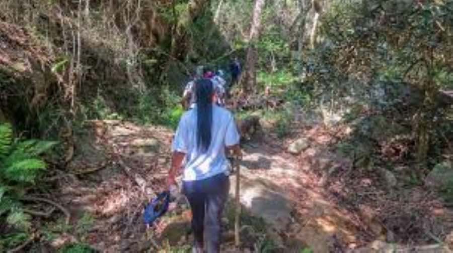 Hazyview : Sabie River Hiking Trail 12km - Why the Sabie River Trail Near Hazyview Works So Well for a Short Day