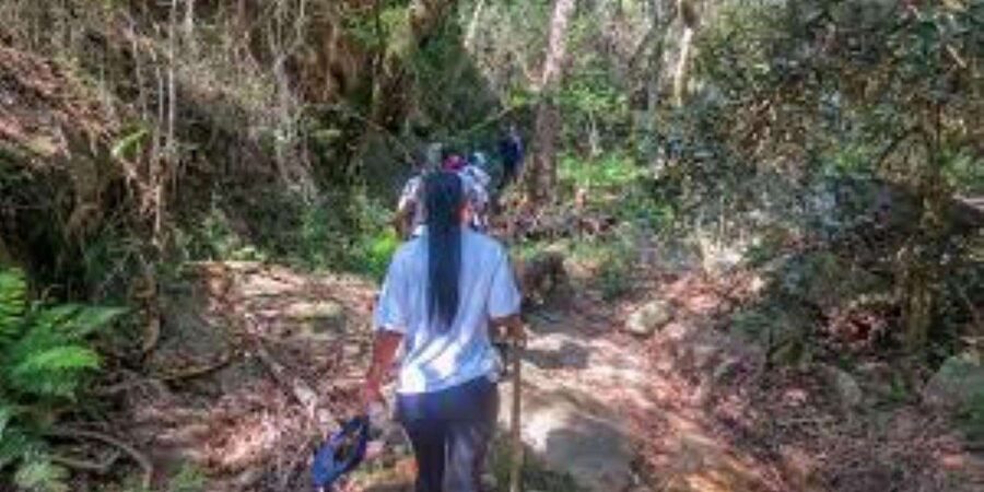 Hazyview : Sabie River Hiking Trail 12km - What to Bring for a 12km Trail That Can Get Technical
