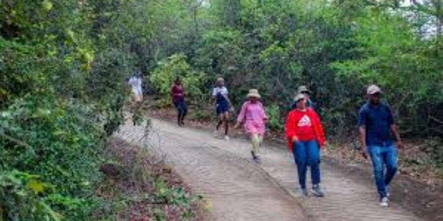 Hazyview : Sabie River Hiking Trail 12km - Timing: Why the 2-Hour Duration Is a Big Value
