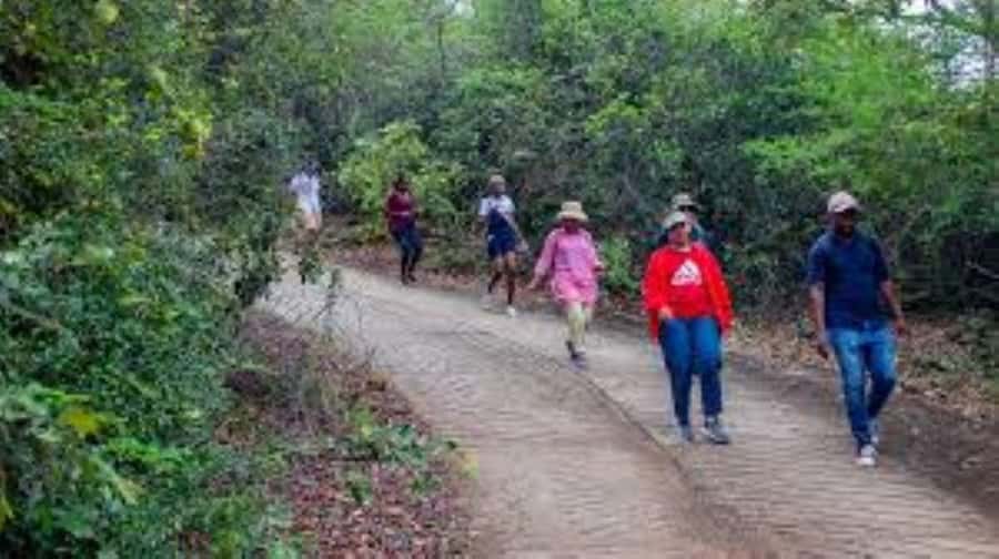 Hazyview : Sabie River Hiking Trail 12km - Route Choices: How the 6km, 8km, and 12km Options Actually Feel