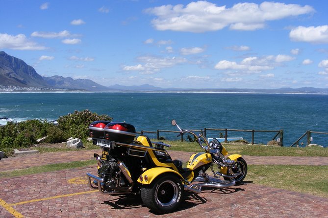 Hermanus and Whale Route Trike Tour from Cape Town - Key things I’d plan around before you go