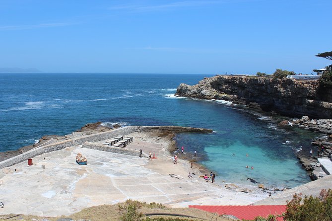 Hermanus and Whale Route Trike Tour from Cape Town - Hermanus: your main whale-watching time, plus lunch by the water