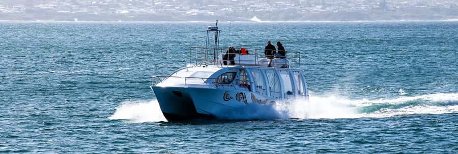 Hermanus: Boat Based Whale Watching Experience - Boat comfort and practical realities: top deck, seating, bathrooms, and motion