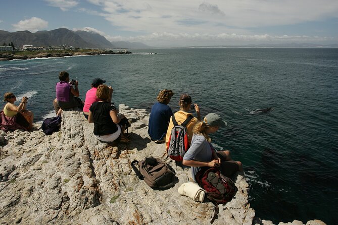 Hermanus Land based Whale Tour with Dave de Beer - Why Hermanus whale watching feels different from typical tours