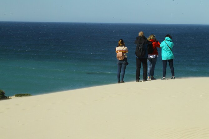 Hermanus Land based Whale Tour with Dave de Beer - The value case: $80.81 for a guided, ticketed whale experience