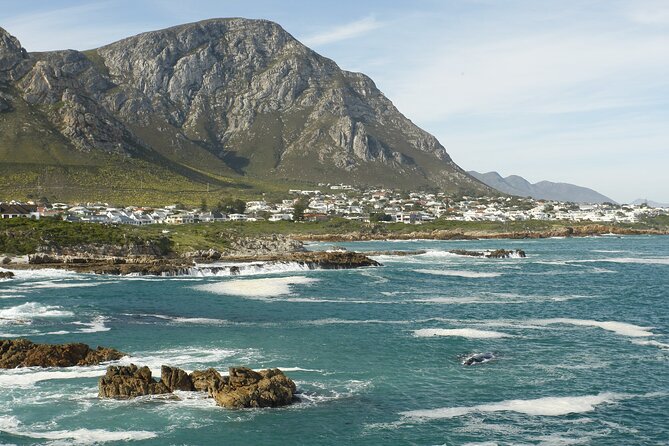 Hermanus Land based Whale Tour with Dave de Beer - The 2-hour cliff path walk along Hermanus for southern right whales