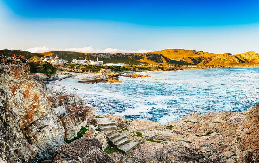 Hermanus: Whale and Dolphin Watching Boat Trip - Camera rules, the videographer, and what to do about footage
