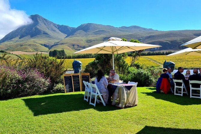 Hermanus Whale Watching and Wine Tasting Private Tour - Stony Point Nature Reserve and the African Penguins up close