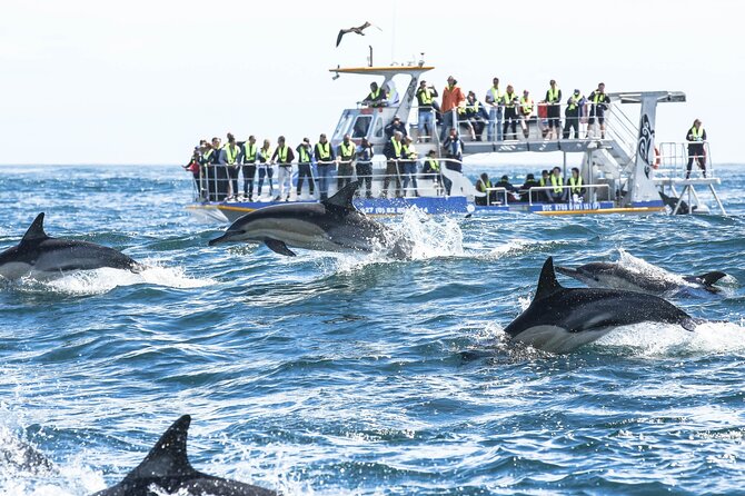 Hermanus Whale Watching and Wine Tasting Private Tour - The return along R44 and Clarence Drive, Whale Coast Route vibes