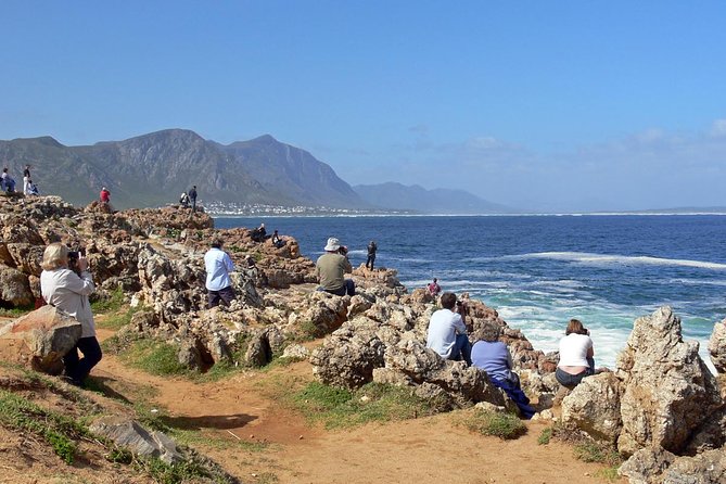 Hermanus Whale Watching Day Trip from Cape Town - Key highlights at a glance