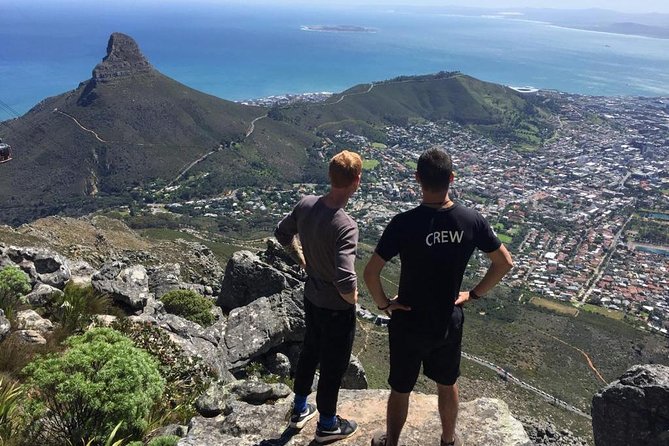 Hike Table Mountain or Lions Head in Cape Town Like a Local - Flora and fauna talk, without turning it into a lecture