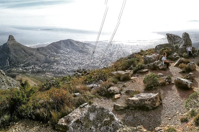 Hike Table Mountain with a Guide - Choose Route - The Ascent Experience: Steep, Rocky, and Very Doable