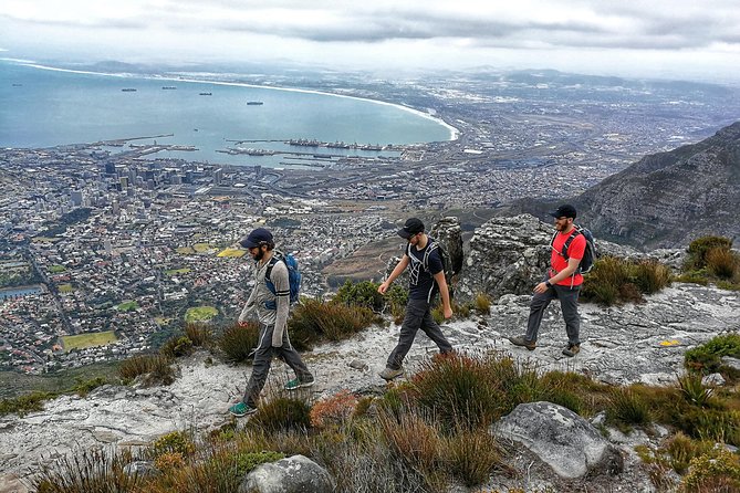 Hike Table Mountain with a Guide - Choose Route - Summit Views and the Cable Car Back Down Plan