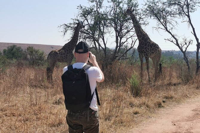 Hiking In the Magaliesberg,Wildlife hike an hour fromJohannesburg - Key Points If You Want the Quick Picture
