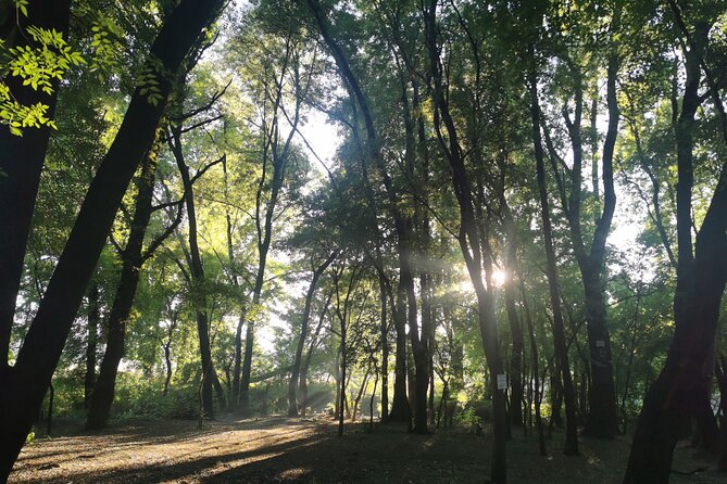 Hiking In the Magaliesberg,Wildlife hike an hour fromJohannesburg - What’s Included, What’s Not, and How to Budget Like a Local