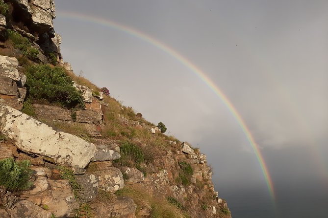 Hiking Lion's Head for sunrise, coffee & hotel Pick-up & Drop off - The ridge finale with rocky sections and ladders: hands-on climbing skills