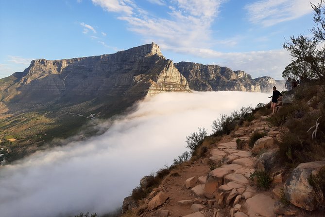 Hiking Lion's Head for sunrise, coffee & hotel Pick-up & Drop off - What you’ll notice on the rocks: granite, sandstone, and Cape fynbos