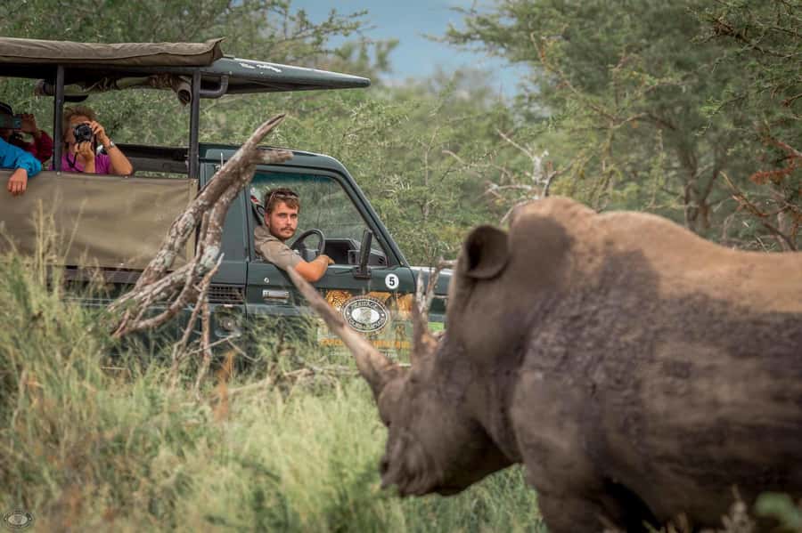Hluhluwe-Imfolozi: Big 5 Full or Half-Day Safari - Key highlights you will actually feel during the day