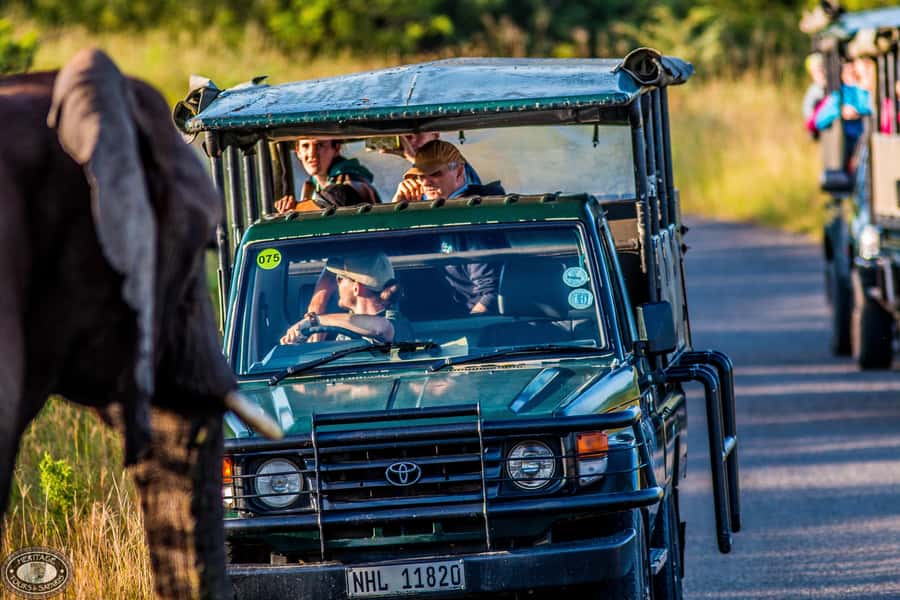 Hluhluwe-Imfolozi: Big 5 Full or Half-Day Safari - Why Hluhluwe-Imfolozi is a standout Big 5 choice in KwaZulu-Natal