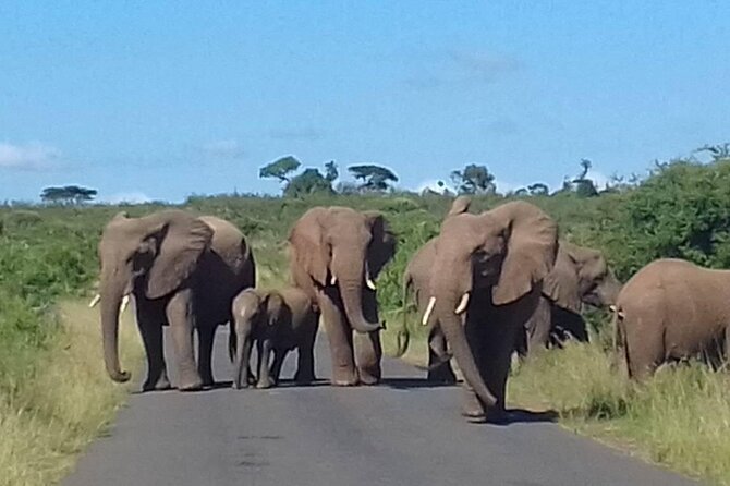 Hluhluwe Imfolozi Park And Isimangaliso Wetlands Park .st Lucia - Durban to Hluhluwe and iSimangaliso, why this combo makes sense