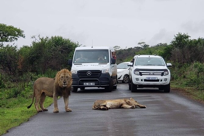 Hluhluwe Imfolozi Park And Isimangaliso Wetlands Park .st Lucia - The 6:00 am start, transfers, and how to plan your day