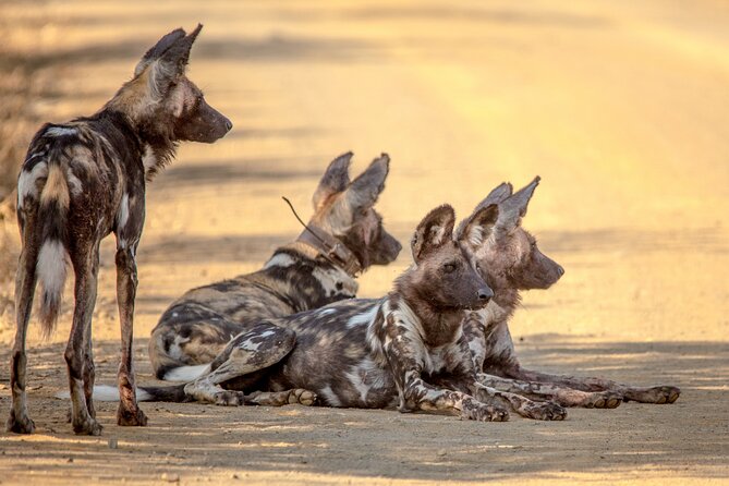 Hluhluwe-iMfolozi Park Exclusive Private Full Day Big 5 Safari - Price and value: what you really pay for in a private day