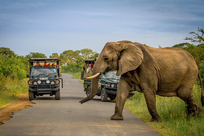 Hluhluwe-iMfolozi Park Exclusive Private Full Day Big 5 Safari - Who this safari suits best, and who might want a different plan