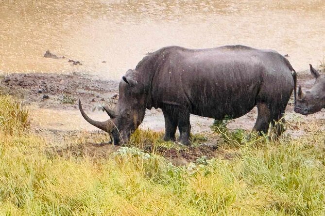 Hluhluwe Imfolozi Park Excursion - Why Hluhluwe-iMfolozi Works as an 8-Hour Safari Plan