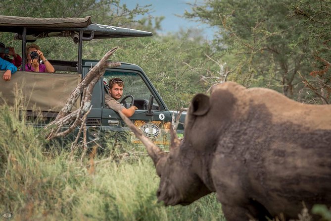 Hluhluwe-Imfolozi Park Full Day Big 5 Safari Tour - Key highlights worth your attention