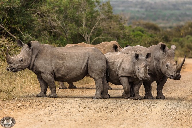 Hluhluwe-Imfolozi Park Full Day Big 5 Safari Tour - Breakfast and braai lunch: where comfort meets real South Africa flavor