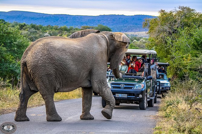 Hluhluwe-Imfolozi Park Full Day Big 5 Safari Tour - St Lucia hotel pickup to Nyalazi Gate: what your day schedule actually feels like