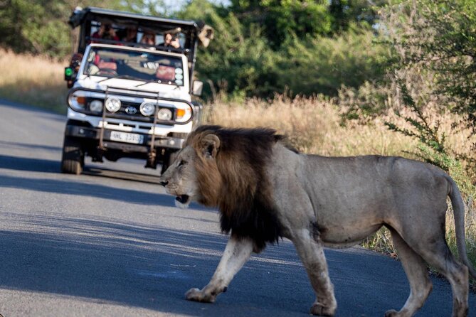 Hluhluwe-Imfolozi Park Half-day Big Five Safari Adventure - The practical details that affect your day