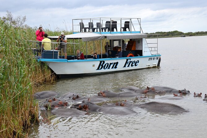 Hluhluwe Imfolozi Safari & St Lucia Boat Safari Day Tour from Durban - A full-day safari loop from Durban that actually makes sense