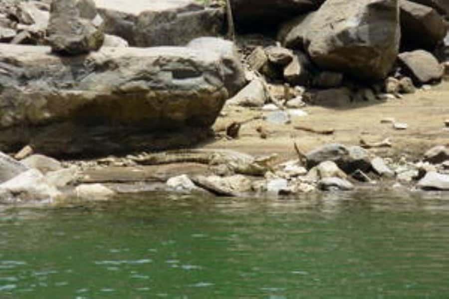 Hoedspruit: Blyde River Canyon Dam Boat Cruise - Key Points I’d Put on Your Radar
