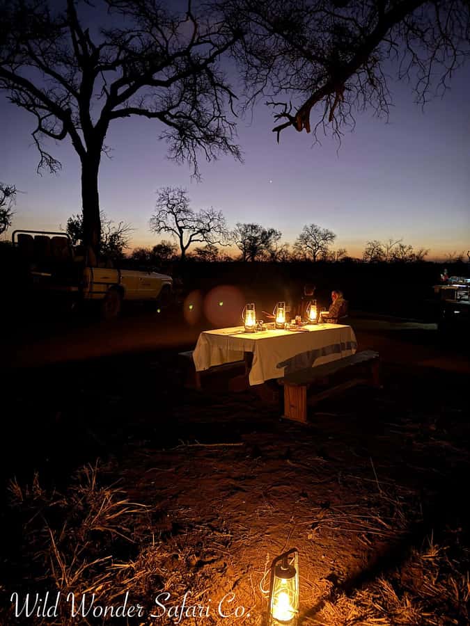 Hoedspruit: Dinner in the Bush & Safari Game Drive - Key Things That Make This Safari and Dinner Work