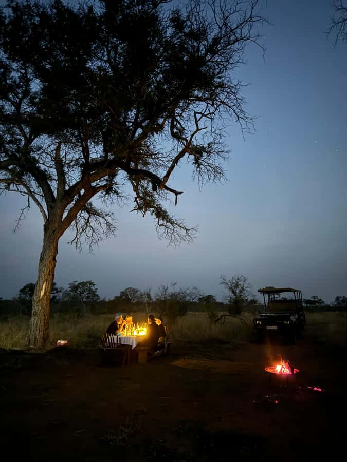 Hoedspruit: Dinner in the Bush & Safari Game Drive - Price and Value: Does $171 Make Sense for What You Get?