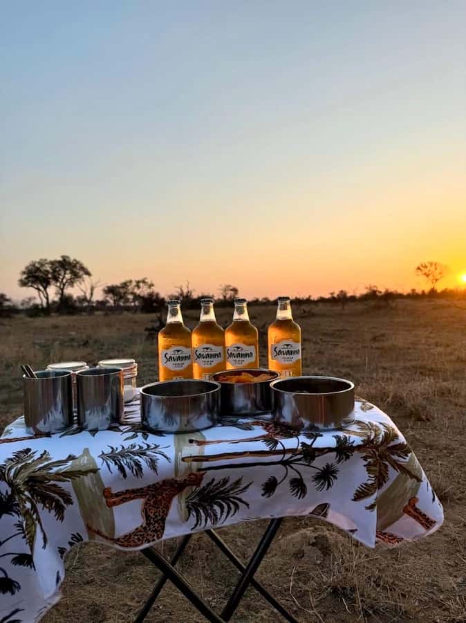 Hoedspruit: Evening Safari In Greater Kruger Private Reserve - What You’ll See: Iconic Wildlife, Plus the Smaller Things