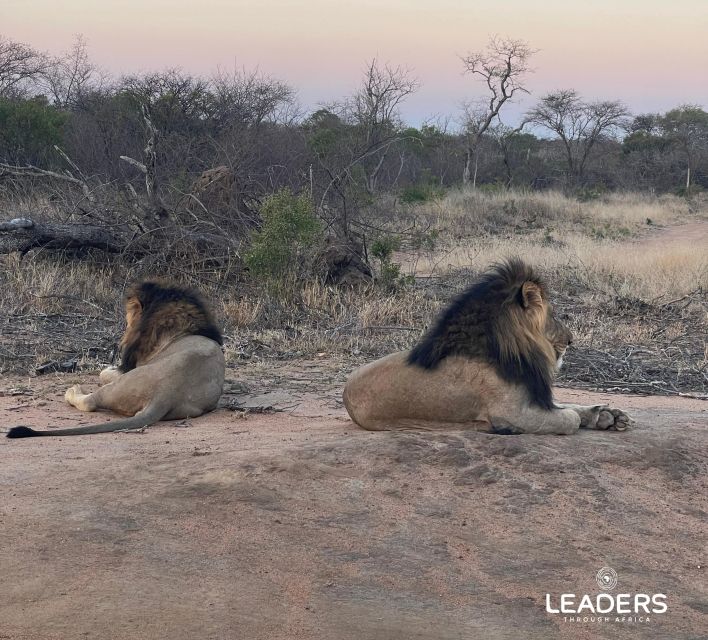 Hoedspruit: Private Kruger National Park Full-Day Safari - What “10-hour game drive” really means in your day