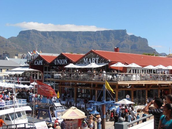 Hop-On Hop-Off Cape Town Canal Cruise - Key highlights to know before you board