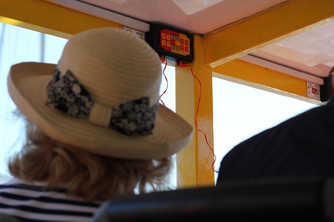 Hop-On Hop-Off Cape Town Canal Cruise - Timing, weather, and the one rule that prevents stress