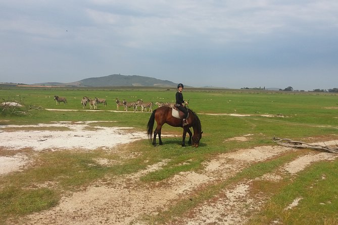 Horse Riding Wildlife Safari - Riding Through the 240 Hectares: What the Wildlife Safari Route Feels Like