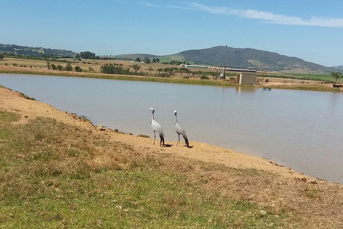 Horse Riding Wildlife Safari - Price and Time: What You’re Really Paying For