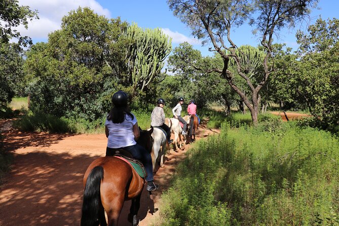 Horseback Safari Adventure in Hartbeespoort from Johannesburg - Horseback Wildlife Safari at Silkaatnek: the whole point