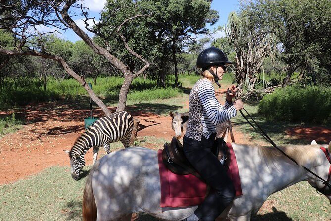 Horseback Safari Adventure in Hartbeespoort from Johannesburg - Wildlife odds: the species list is strong, and that shapes your expectations