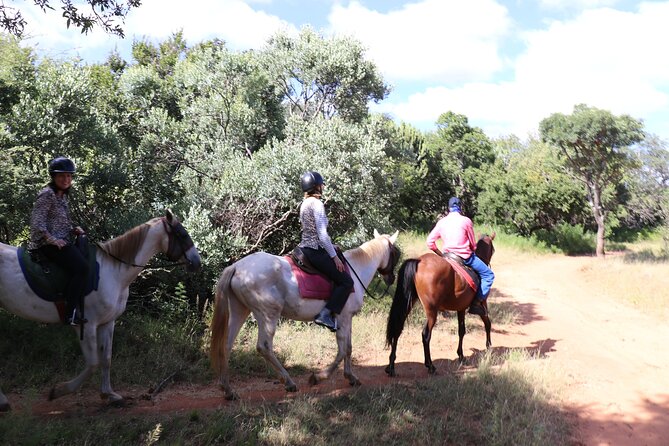 Horseback Safari Adventure in Hartbeespoort from Johannesburg - Price and what you actually get for your money