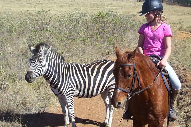 Horseback Safari Tour - Horseback Safari Tour Pretoria, the feel of riding in a private game reserve